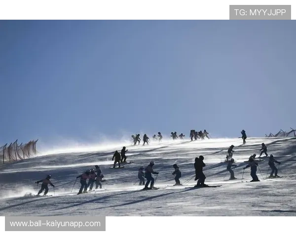 高山滑雪训练课程融入团队协作训练提高实战能力，高山滑雪教学视频